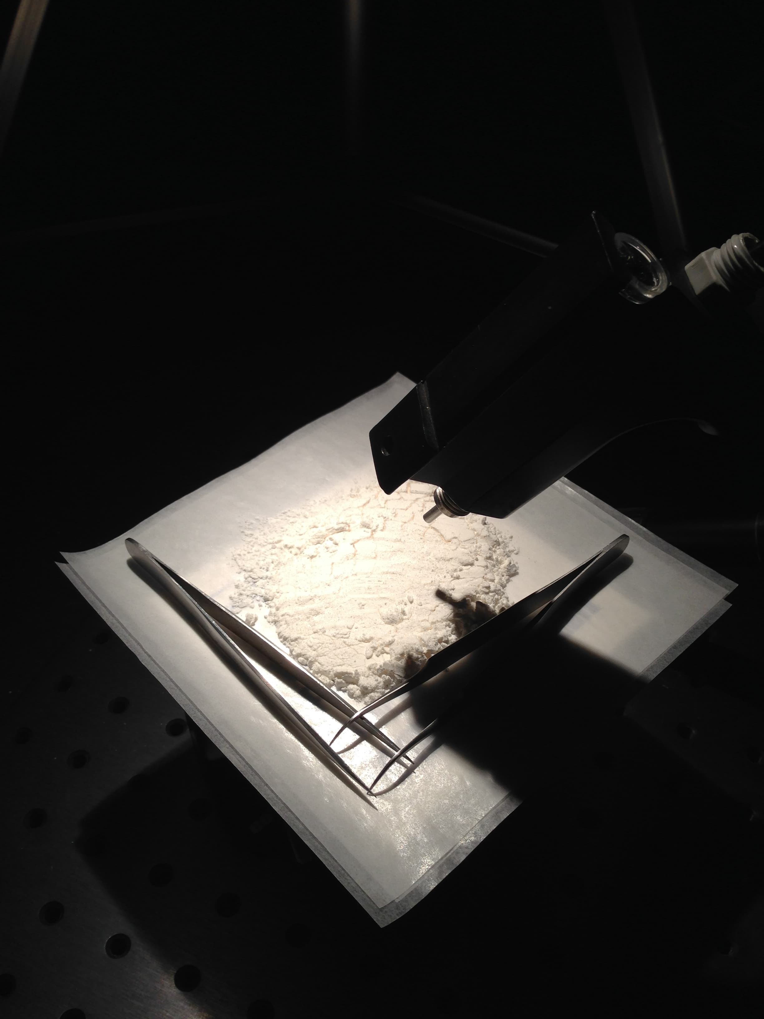 Naringenin SA-N5893 sample