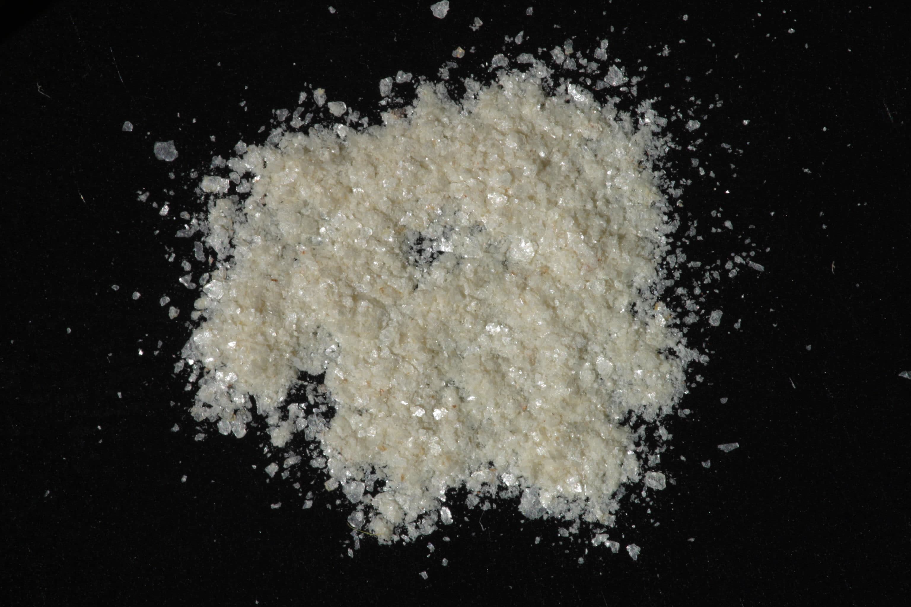 Paragonite sample