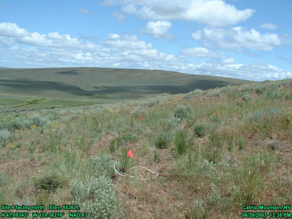 Rangeland sample