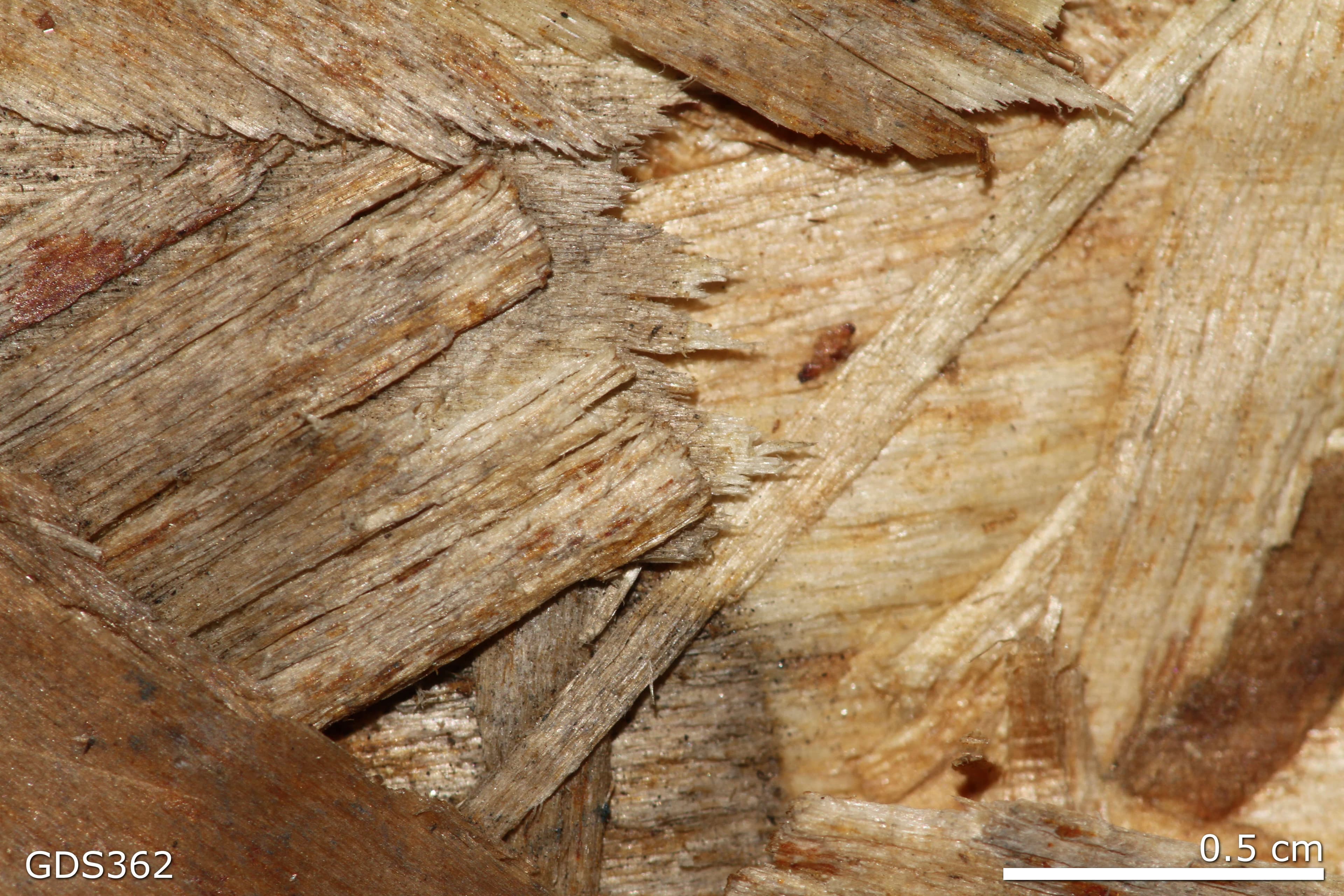 Strand Board sample