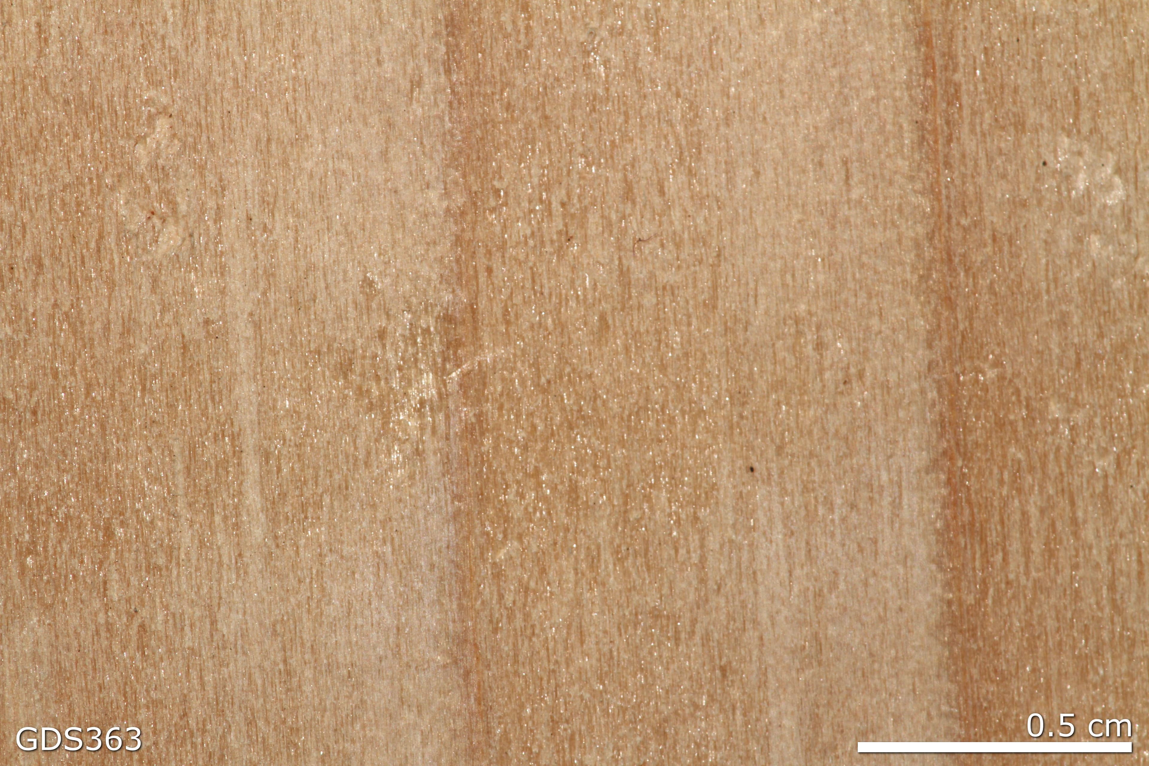 Wood Beam sample