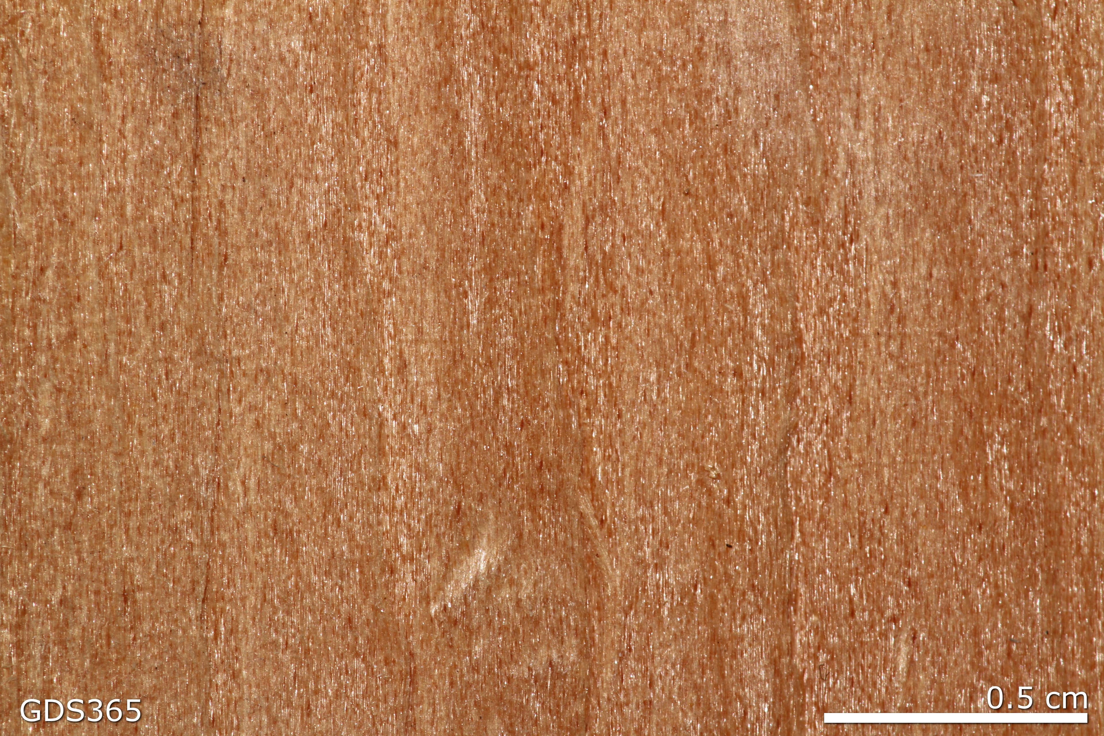 Plywood sample