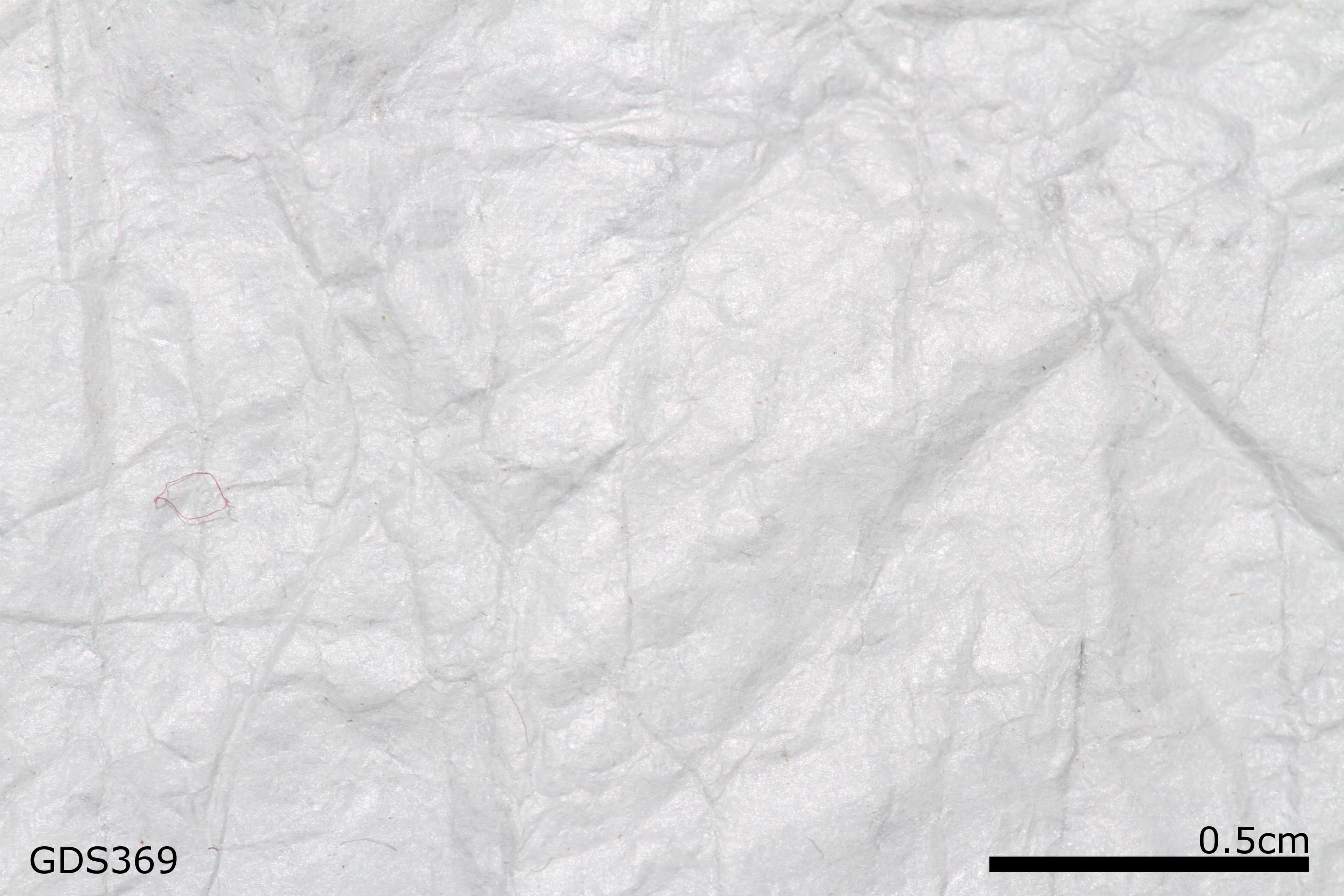 Plastic Tyvek sample