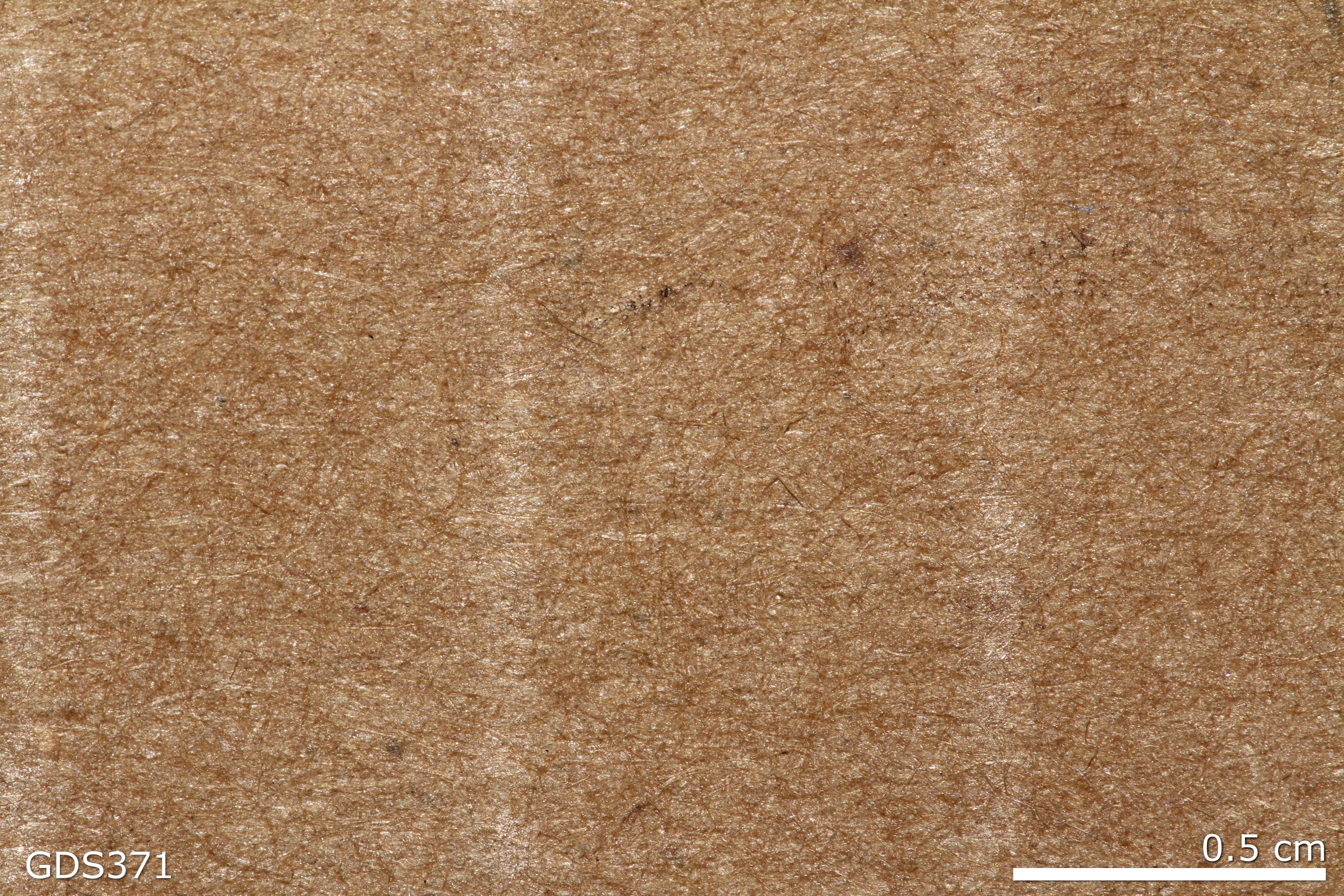 Cardboard sample