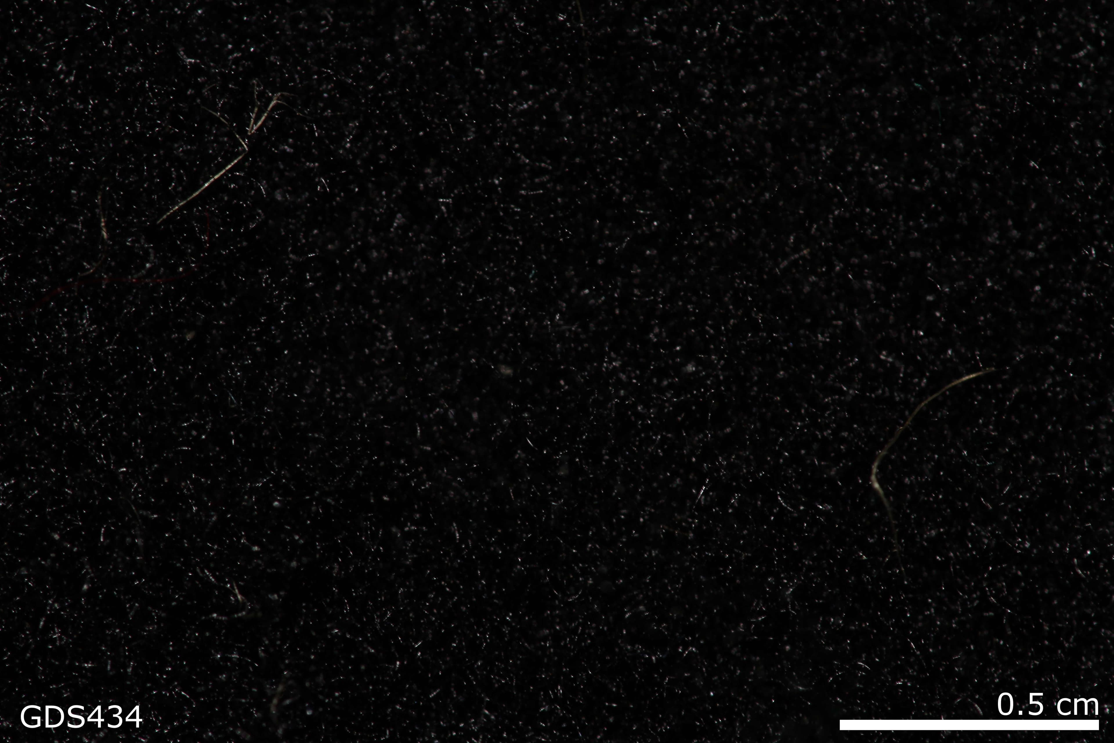 Polyester Pile sample