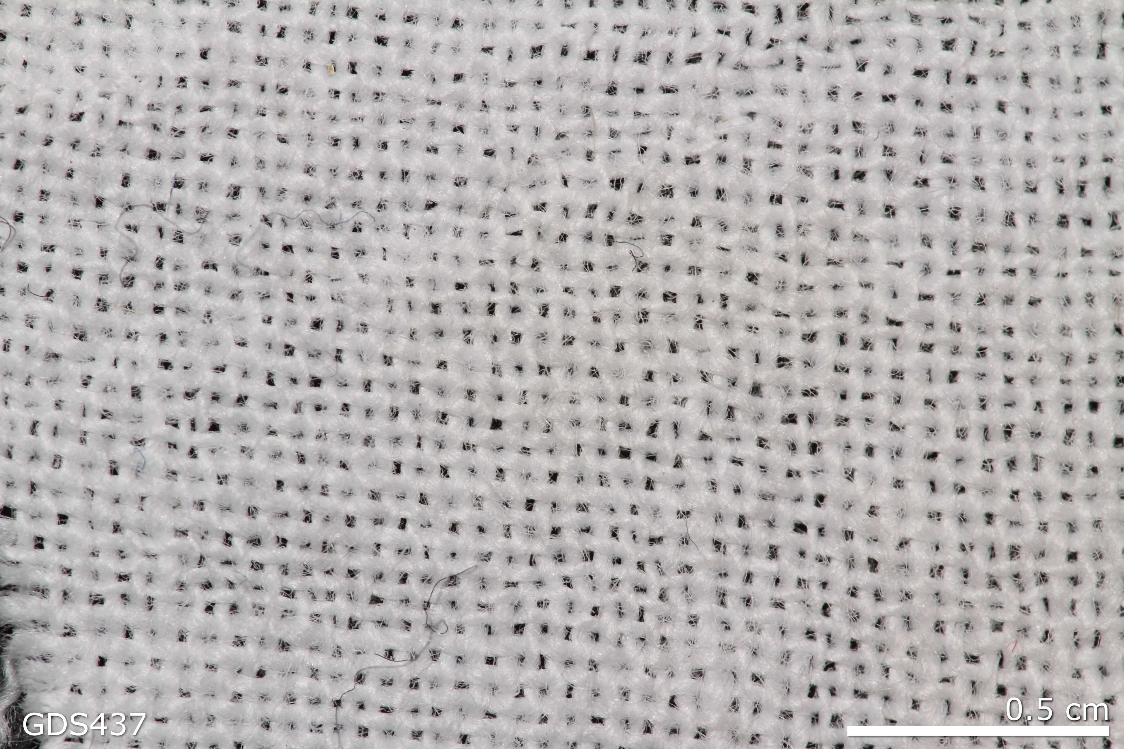 Cotton Fabric sample