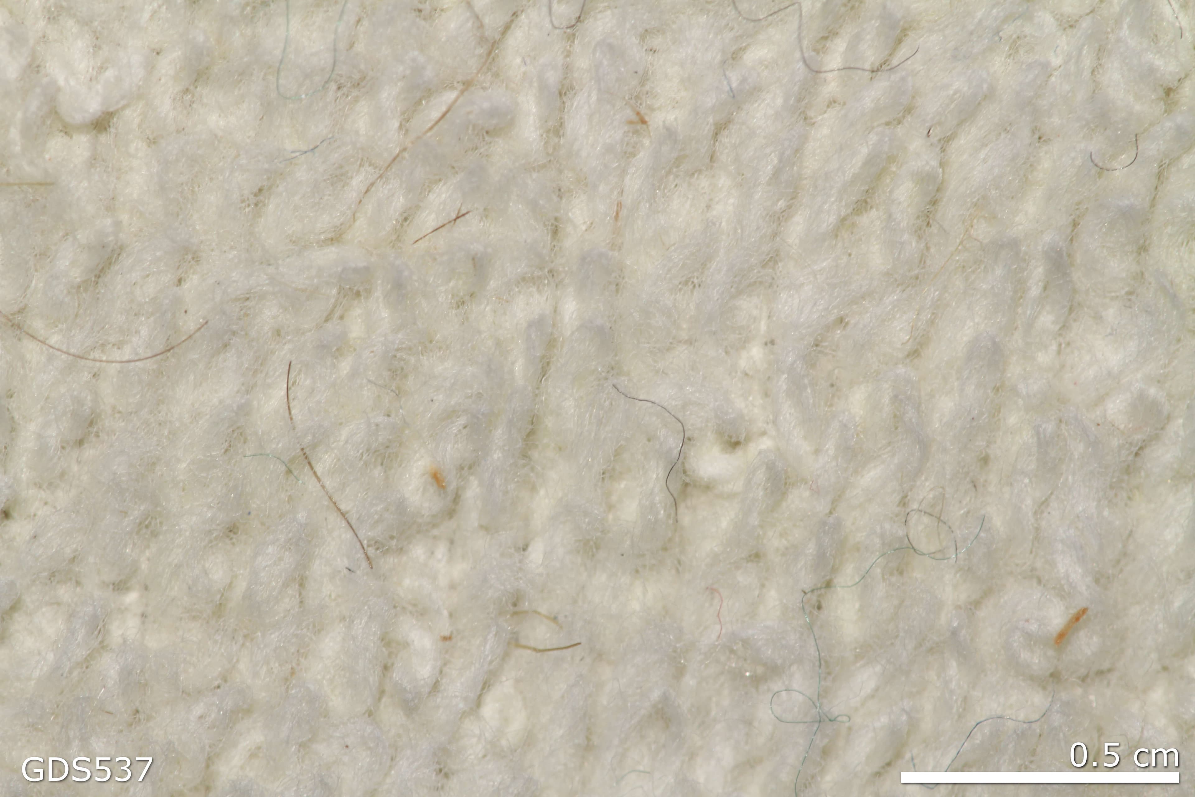 Terrycloth Fabric sample
