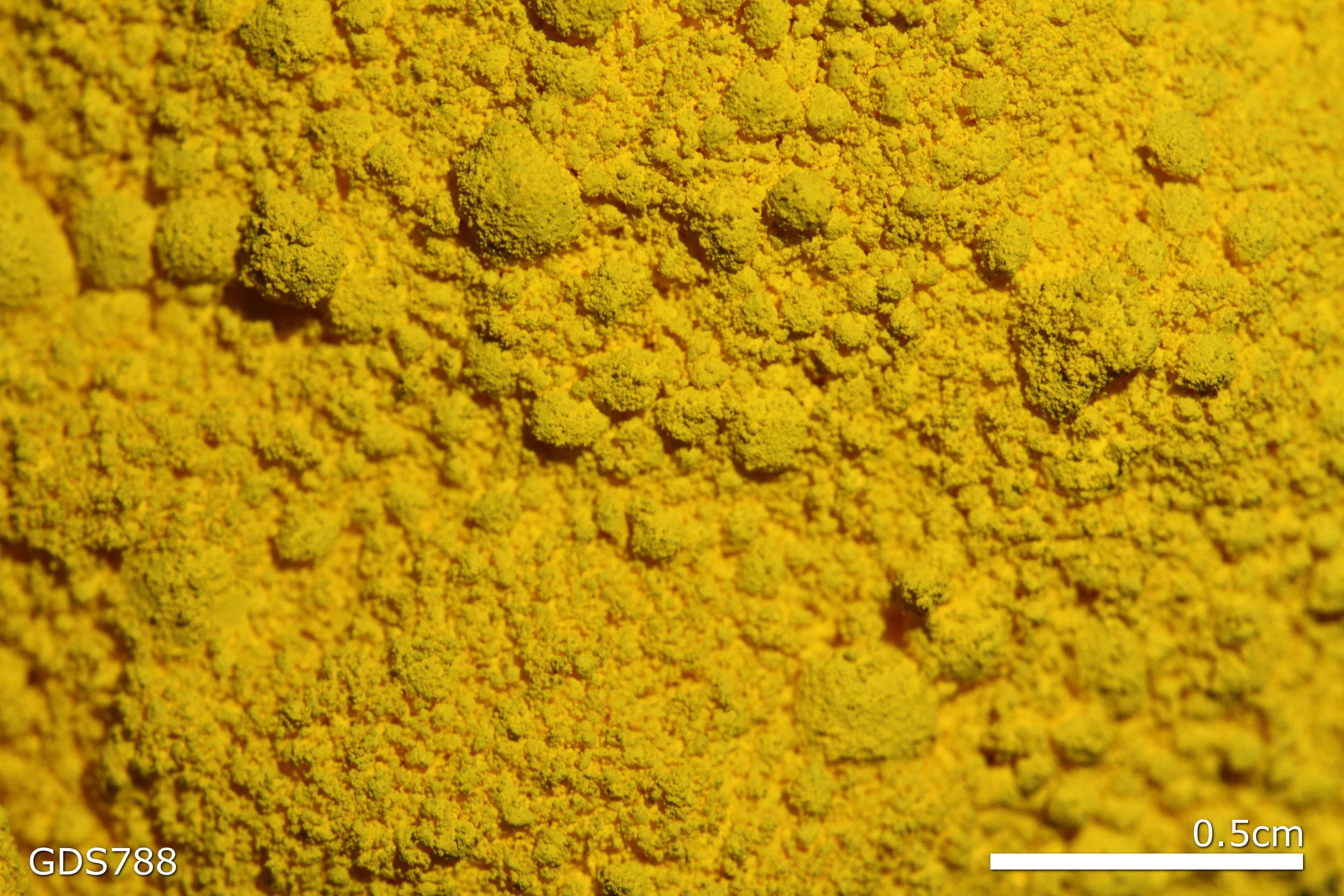 Cadmium yellow 6 med sample