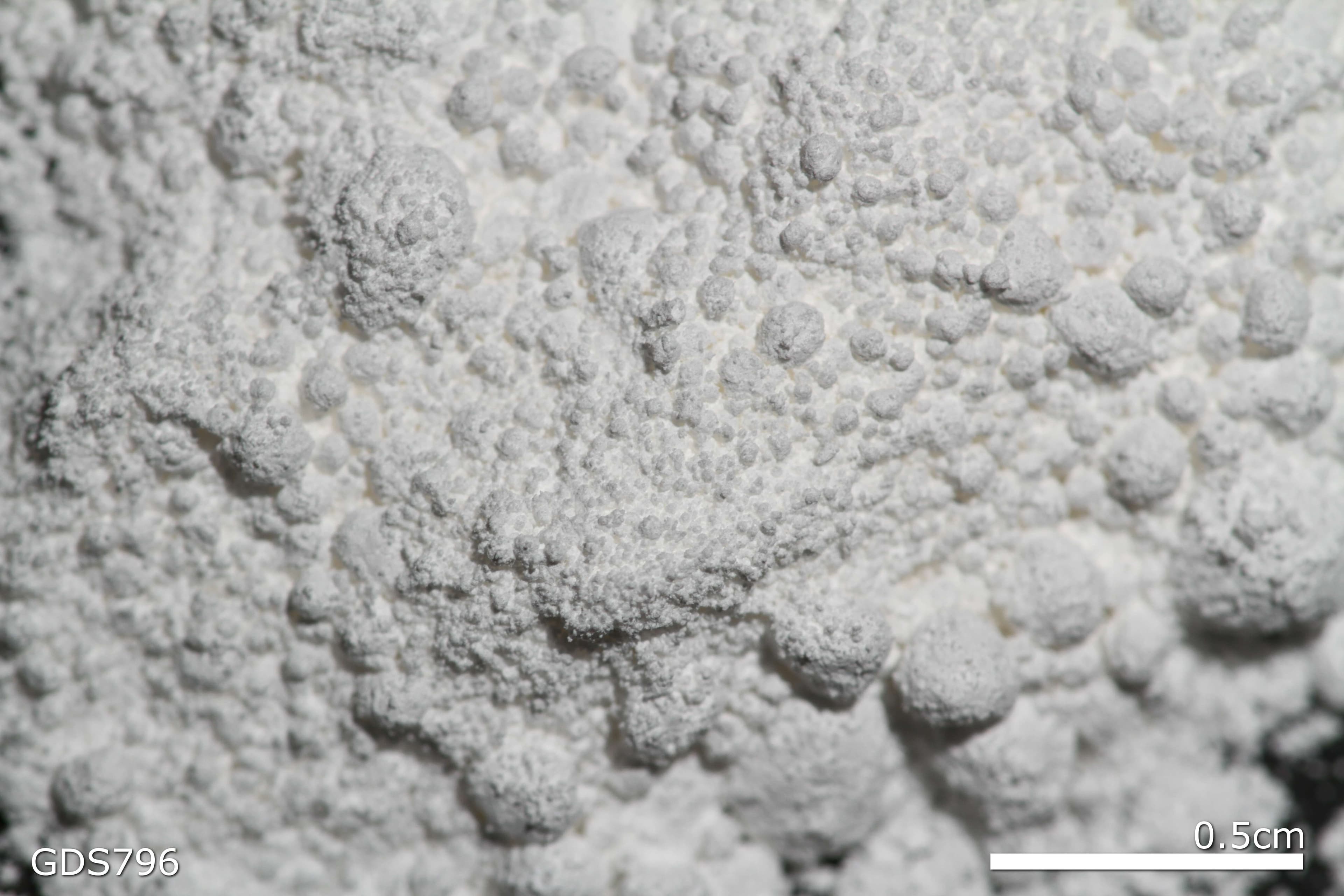 Lead White sample