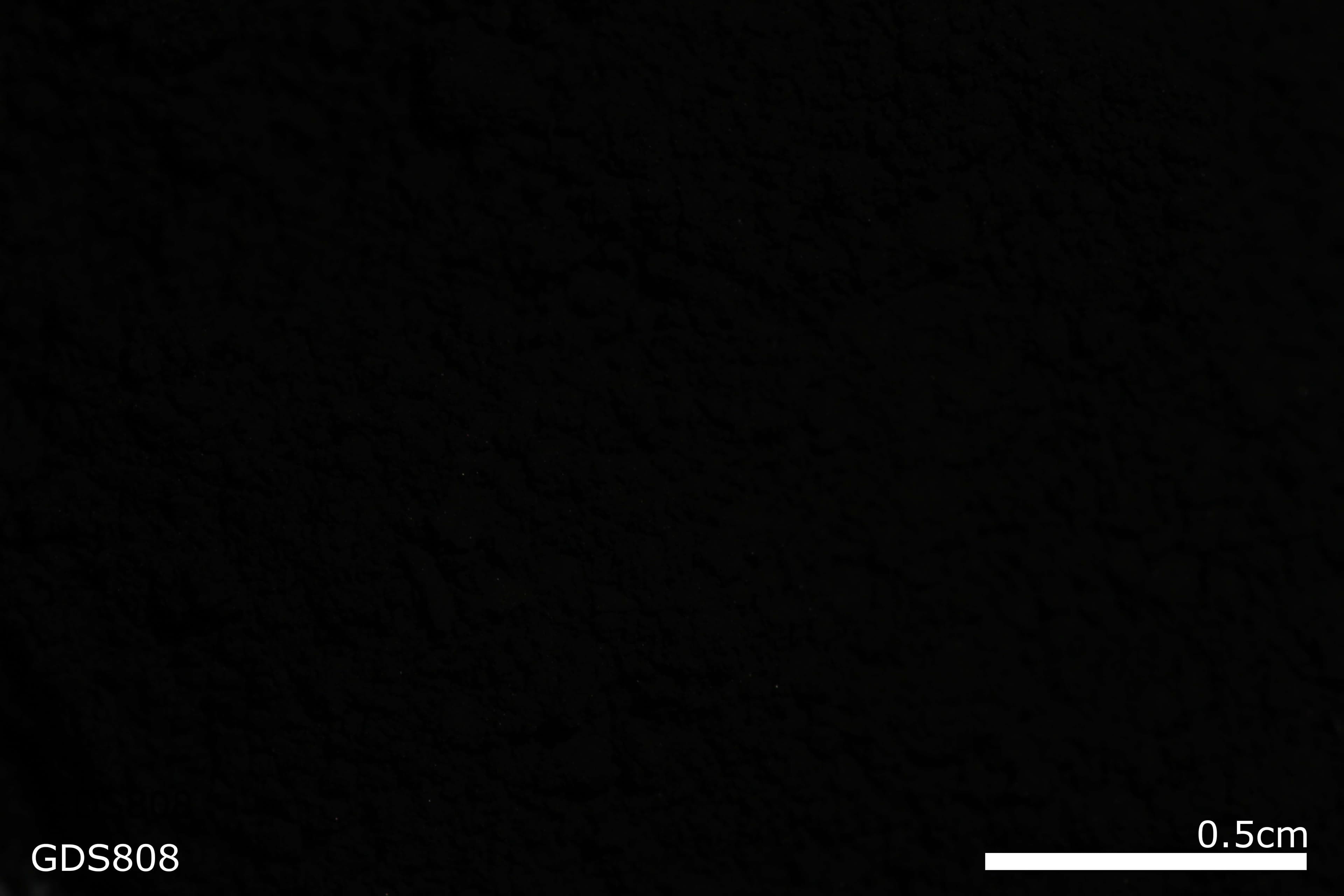 Bone black sample