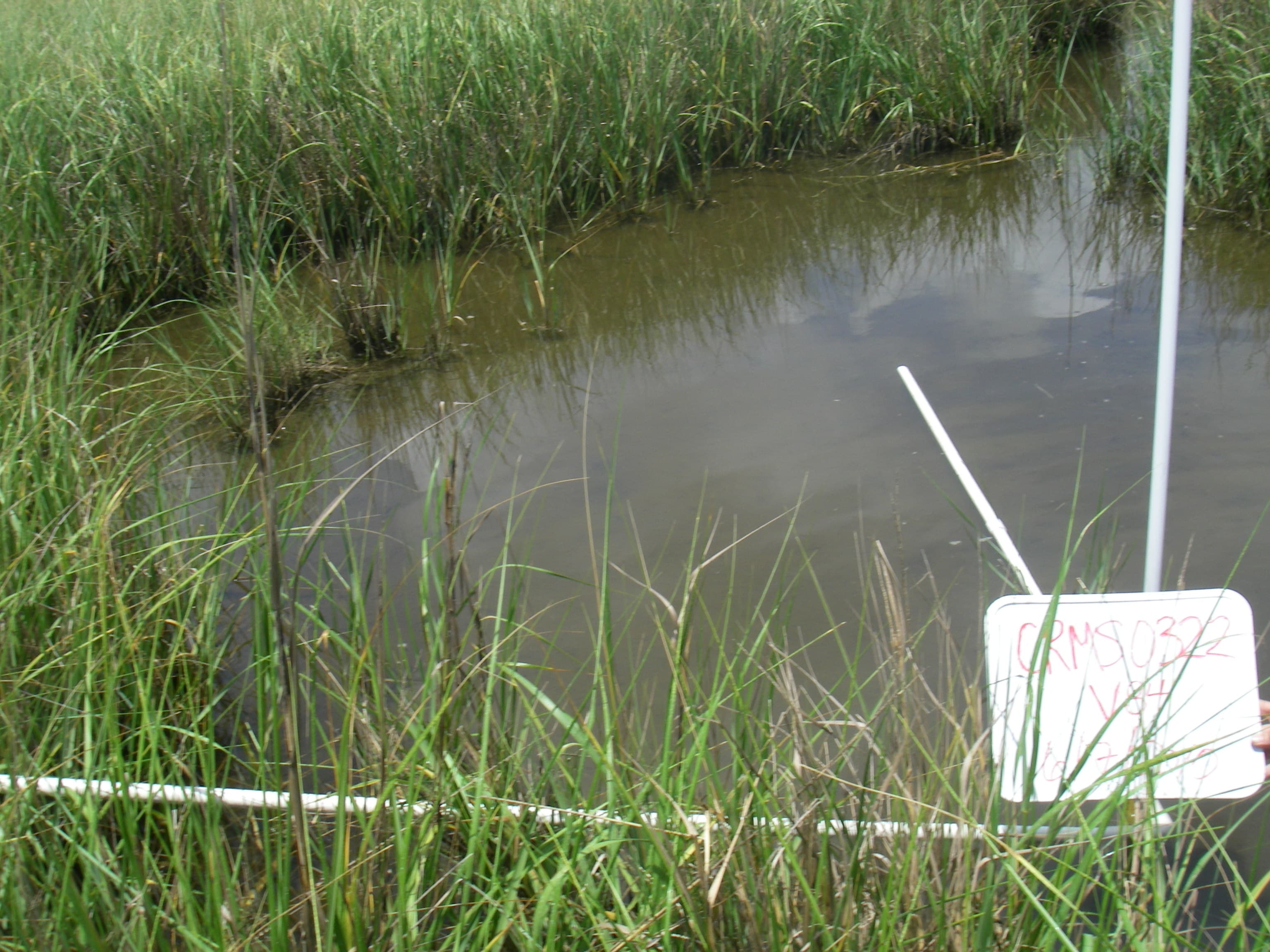 Marsh water75%... sample