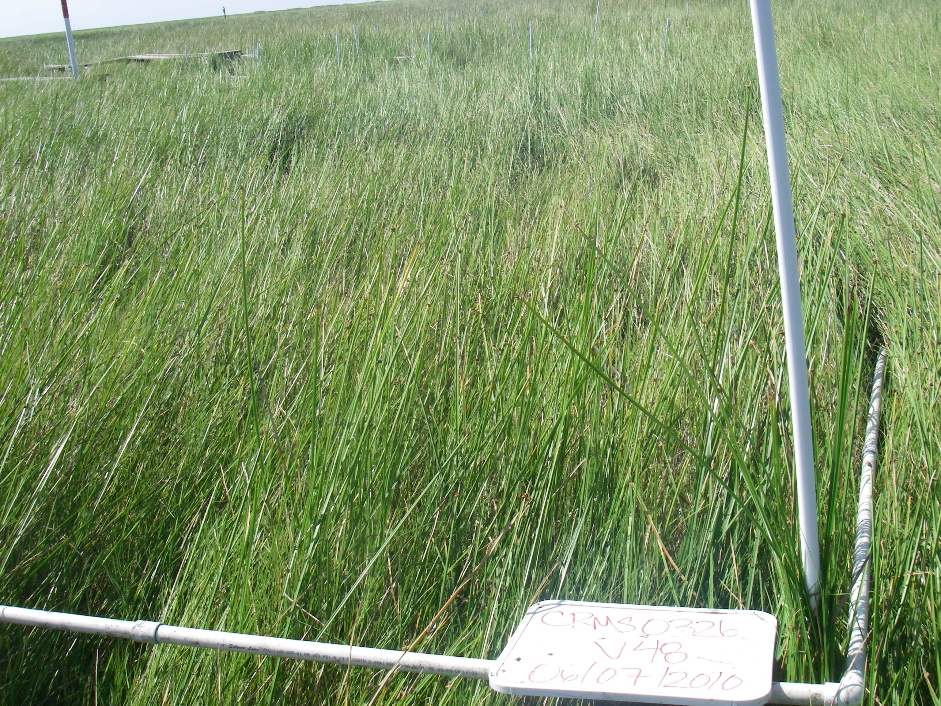 Marsh SCAM-DISP..CRMS326v48a sample